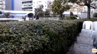 欧美古典音乐欣赏_欧美亚洲精品成人视频